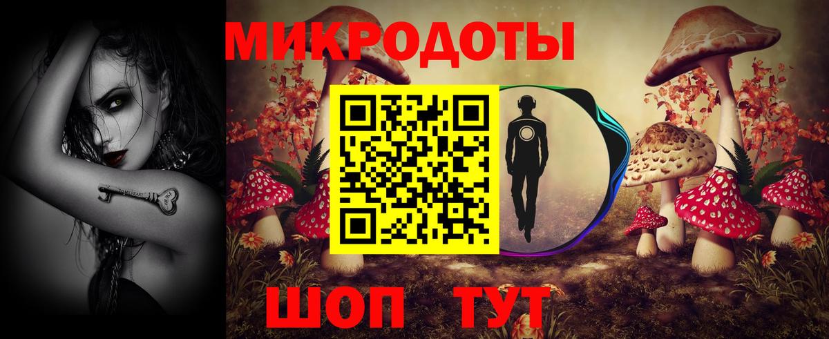 Псилоцибиновые грибы мухоморы  Псилоцибиновые грибы GOLDEN TEACHER  Камень-на-Оби  купить наркотики цена  Вход с VPN 